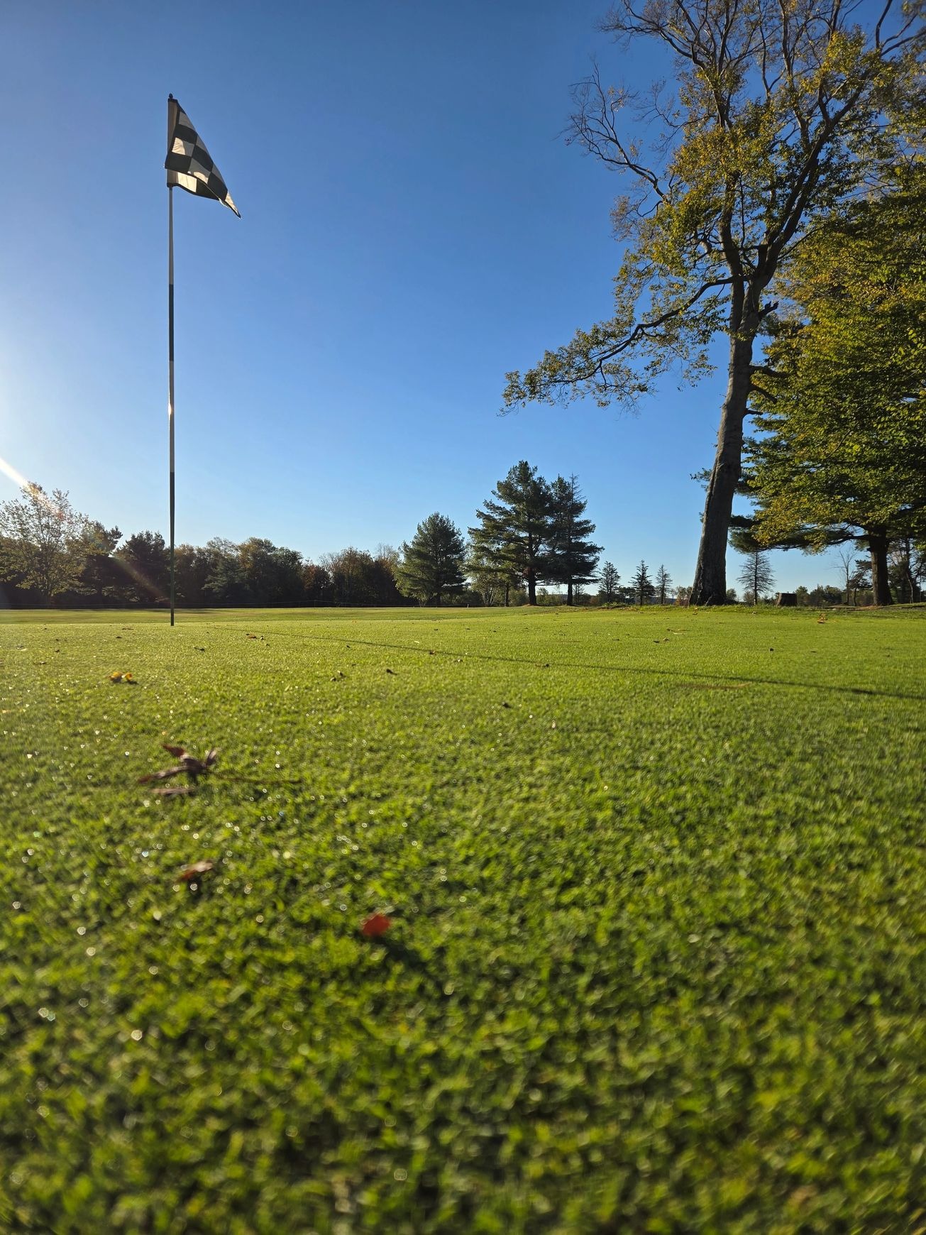 Flagpole on golf course