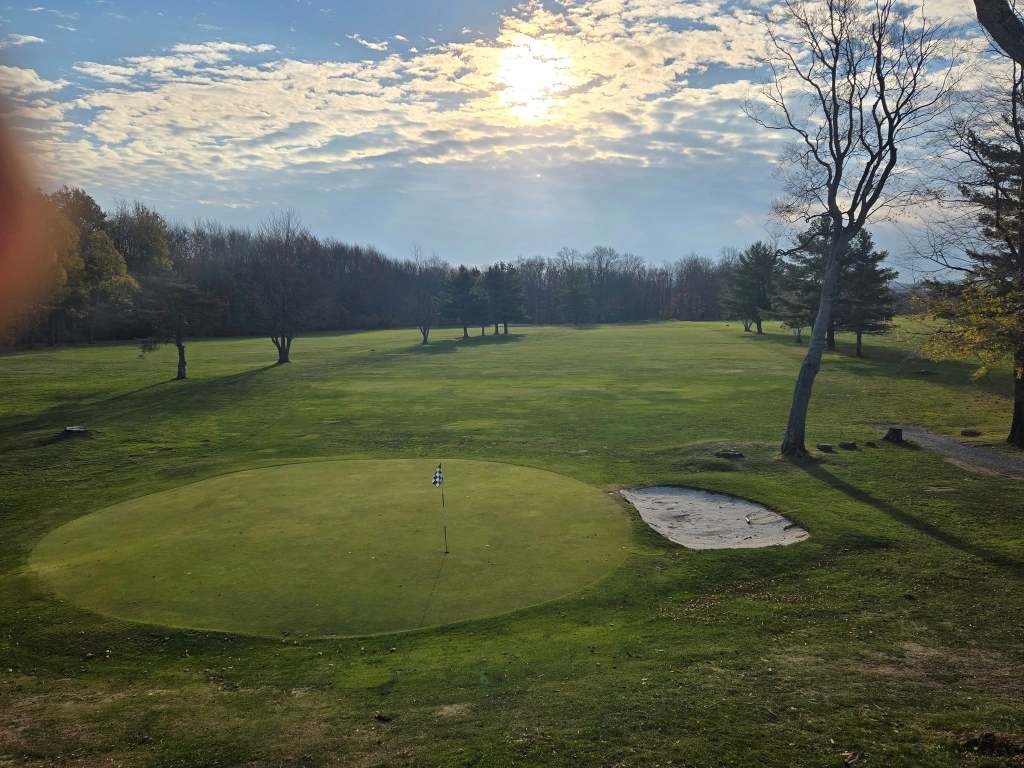 View of golf course with bunker near tree